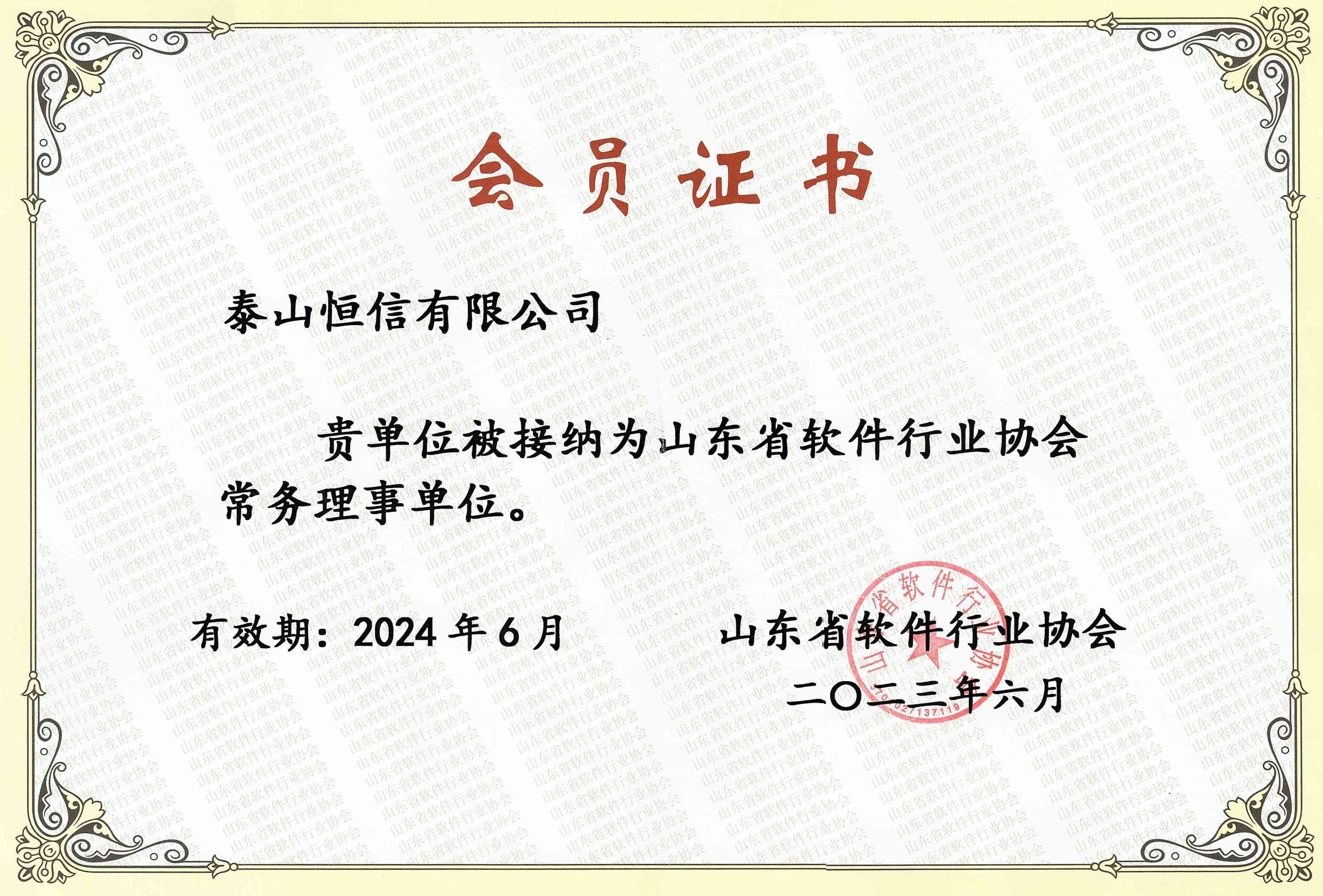 山東省軟件行業(yè)協(xié)會(huì)常務(wù)理事單位(圖1)